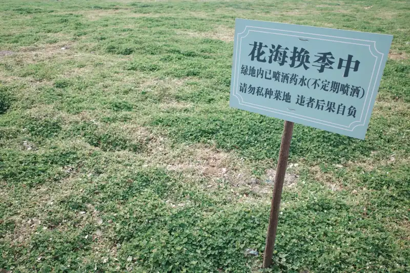 2024年产业园区招商管理难点与专业运营团队的应对策略