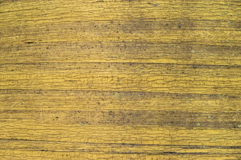 产业园运营与招商管理一体化解决方案设计要点分析